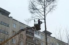 Кронирование деревьев по адресу Серебрянский проезд, 19